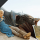 Illustration for article titled Half Price Destiny, Game of Thrones Last Call, Ghibli, More Deals